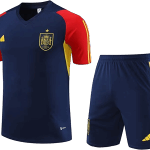 Conjuntos de Entrenamiento Selección España