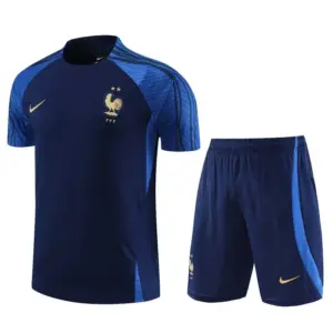 Conjunto de Entrenamiento Selección Francia