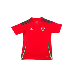 Camiseta Selección Gales - Eurocopa 2024 | Local